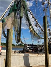 Low Country Atmosphere: by graynomadsusa, Views[378]