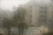Impression of a rainy morning: by graynomadsusa, Views[329]