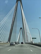 Cooper River Bridge, Charleston: by graynomadsusa, Views[666]