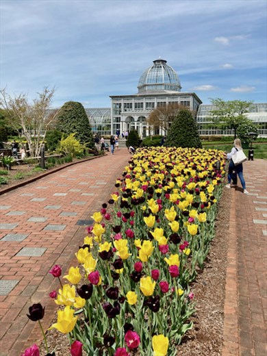 Lewis Ginter Botanical Park, Richmond
