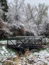Surprise! Springtime in the Rockies: by graynomadsusa, Views[835]
