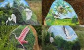 Rock Art: Great Egret, Rufous-naped Wren, White Ibis & Roseate Spoonbill: by graynomadsusa, Views[201]