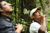 Eric and Renato calling Nana's Wren, Jaguar Reserve: by graynomadsusa, Views[160]