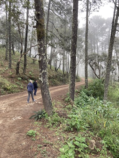 Clouds roll in, Parque Ecotouristico La Cumbre Ixtepeji