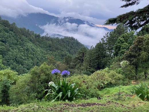 Room with a View, Cabinas Puesto del Sol, San Jose Pacifico