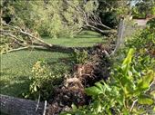 Aftermath of Hurricane Grace, Isla Cozumel: by graynomadsusa, Views[534]