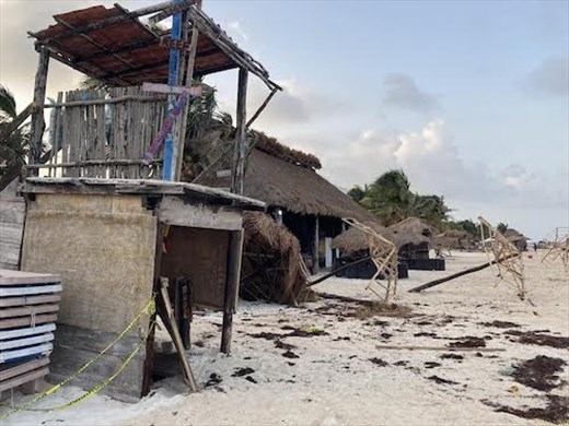 Pulverized Palapas, Puerto Morelos