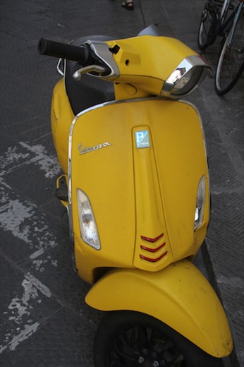 Vespa—Endangered Species