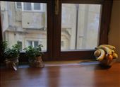 Pisa still life: by graynomadsusa, Views[287]