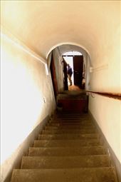 Dark and Steep with a Surprise on Top: by graynomadsusa, Views[298]