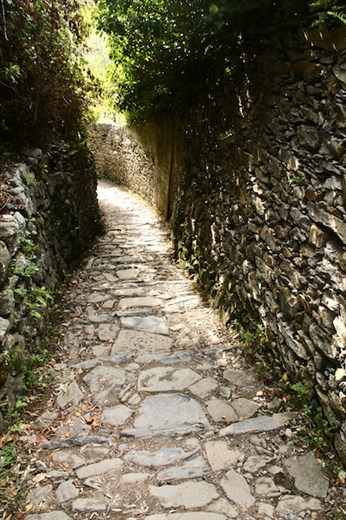 One of the few level places between Corniglia and Vernazza