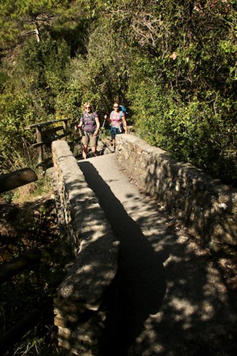 Crossing that bridge . . .