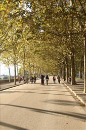 On Lucca's wall: by graynomadsusa, Views[286]