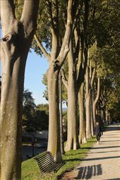 On Lucca's Wall: by graynomadsusa, Views[267]