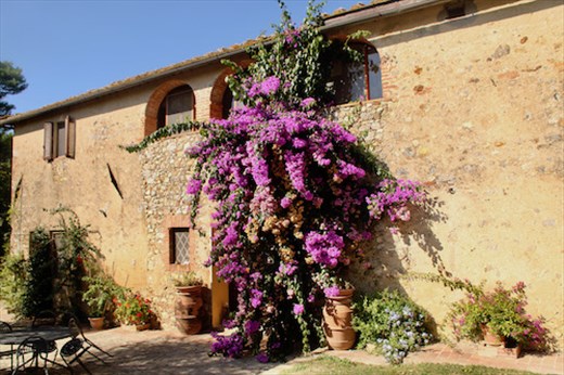 Agriturismo Il Poderaccio, our newest AirBnB