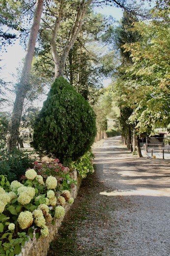 Agriturismo Il Poderaccio