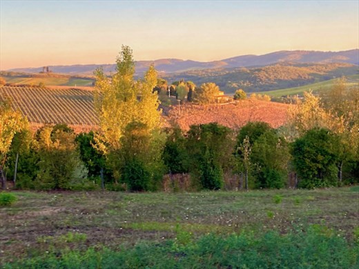 Tuscan Morn, Agriturismo Il Poderaccio