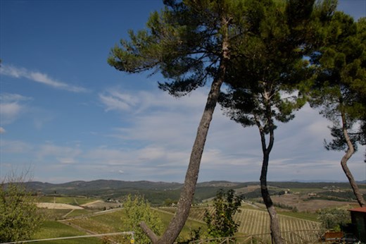 Room with a View, Agriturismo Il Poderaccio