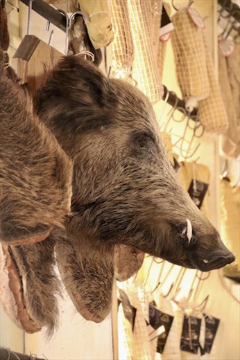 Wild Boar, Chinghiale, is a speciality of San Gimignano