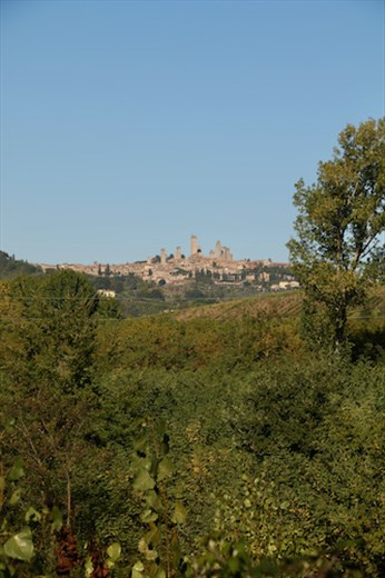San Gimignano, a true Tuscan Hill Town