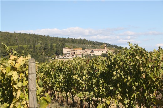 Lunch break in the Vineyard