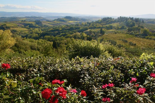 Tuscan countryside seen from San Gimignano