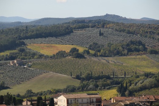 View from San Gimignano 