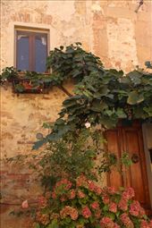Charming Pienza: by graynomadsusa, Views[343]