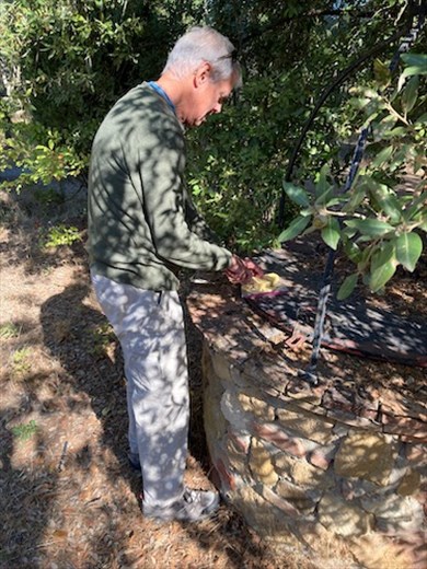 Dining Under the Tuscan Sun