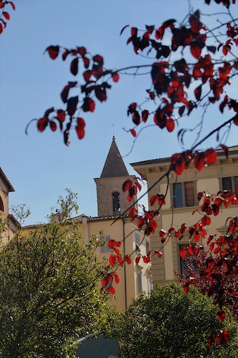 Autumn colors and Church of San Francesco Tower