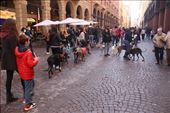 Sunday Morning in Bologna: by graynomadsusa, Views[225]