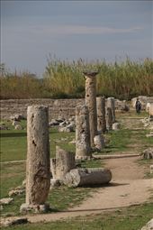 Remains of Roman Forum, Paestum: by graynomadsusa, Views[323]