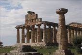 Temple of Athena, rear view, Paestum: by graynomadsusa, Views[245]