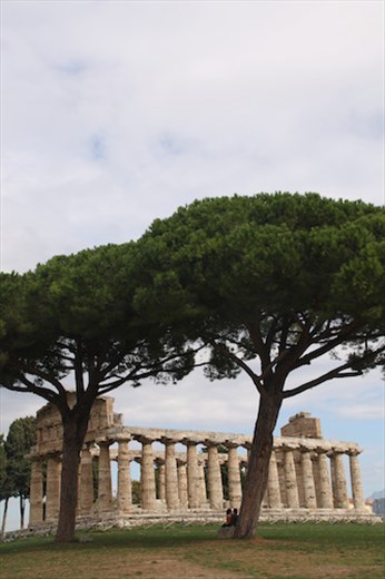 Temple of Athena, Paestum