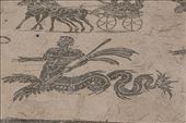 Mosaic at Baths of the Coachmen, Ostia Antica: by graynomadsusa, Views[282]