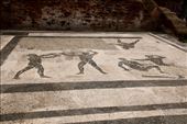 Palestra, Ostia Antica: by graynomadsusa, Views[298]