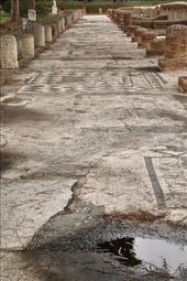 Porticus mosaics, Ostia Antica: by graynomadsusa, Views[355]