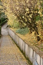 Autumn Sunday, Villa d'Este, Tivoli: by graynomadsusa, Views[473]