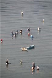 Locals fishing, Ismailia: by graynomadsusa, Views[392]