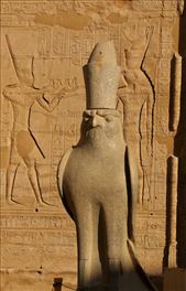 Falcon, Temple of Horus in Edfu: by graynomadsusa, Views[430]