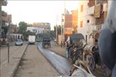 The carriage race to Edfu: by graynomadsusa, Views[307]