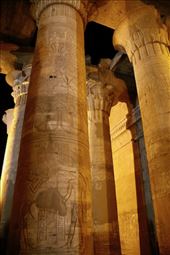 Papyrus-style columns of Hypostyle, Kom Ombo: by graynomadsusa, Views[290]