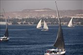 Felucca Ballet, Nile River near Aswan: by graynomadsusa, Views[326]