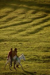 Sitting on their Ass, Nile River: by graynomadsusa, Views[300]