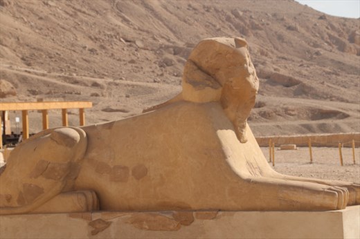Sphinx at Temple of Hatshepsut, West Bank