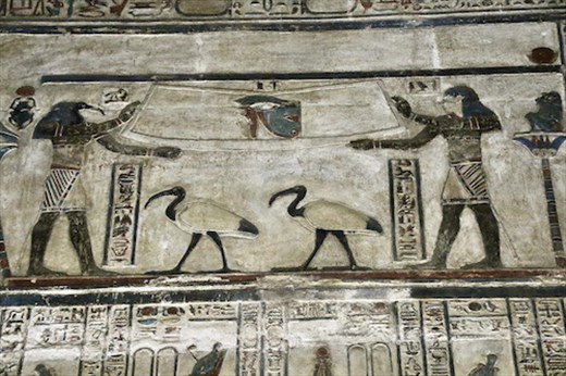 Egyptian god Thoth, the Ibis, Temple of Hathor, Dendera