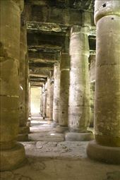 A forest of columns, Temple of Seti I, Abydos: by graynomadsusa, Views[356]