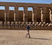 Ram Sphinxes, Karnak Temple: by graynomadsusa, Views[269]