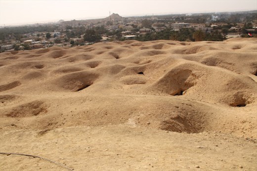 Like a Prairie Dog town, 