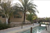 Siwa Shali Resort, Siwa Oasis: by graynomadsusa, Views[225]